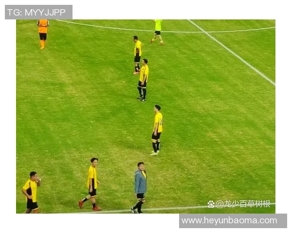 2024足球星闪耀绿茵舞台全面解读球员风采与未来走势 2024足球星闪耀绿茵舞台全面解读球员风采与未来走势